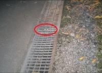 20251201 - コピー.jpg